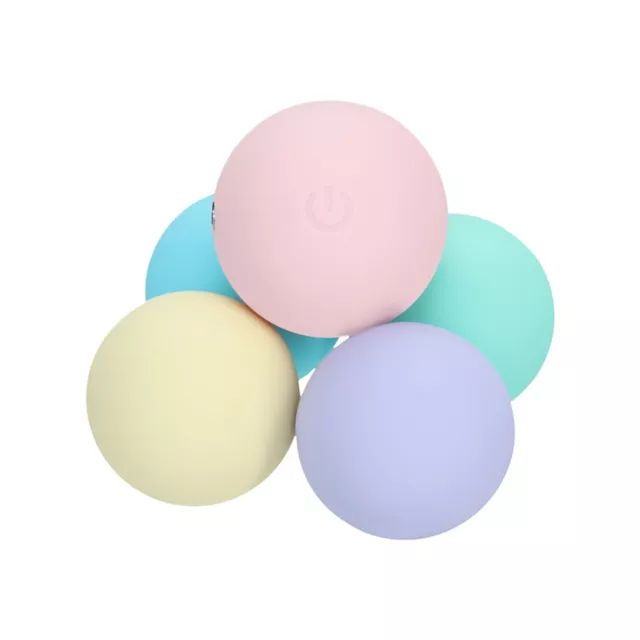 Loveline Pelvifit Strength Kegel Kit at Spencer's