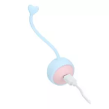 Loveline Pelvifit Strength Kegel Kit at Spencer's