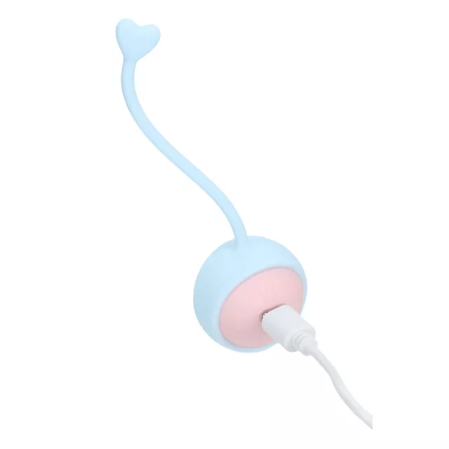 Loveline Pelvifit Strength Kegel Kit at Spencer's