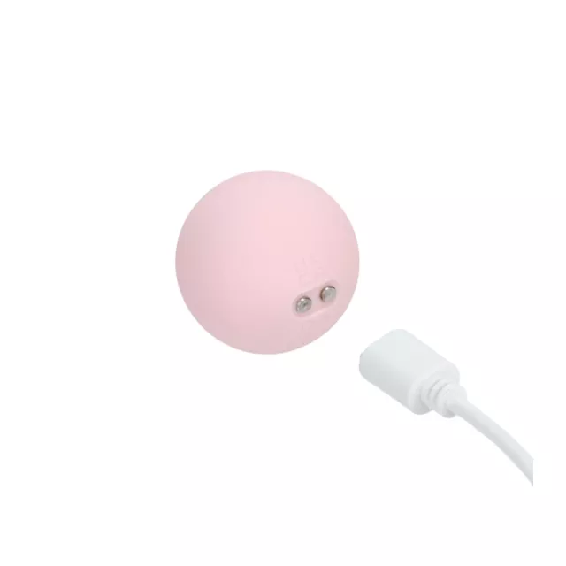Loveline Pelvifit Strength Kegel Kit at Spencer's