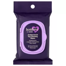 Antibacterial Toy Cleaning Wipes - Hott Love Extreme at Spencer's