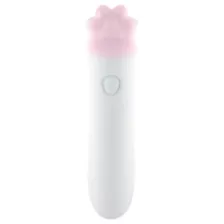 Sexology Pretty Kitty Rechargeable Bullet Vibrator at Spencer's