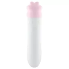 Sexology Pretty Kitty Rechargeable Bullet Vibrator at Spencer's
