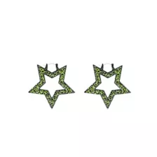 Green Cheetah Print Star Earrings at Spencer's