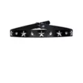 Stars & Studs Choker Necklace at Spencer's