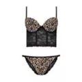 Leopard Print Black Lace Corset and Panties Set at Spencer's