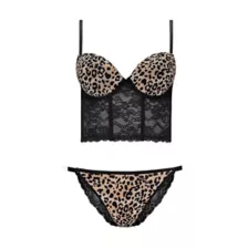 Leopard Print Black Lace Corset and Panties Set at Spencer's