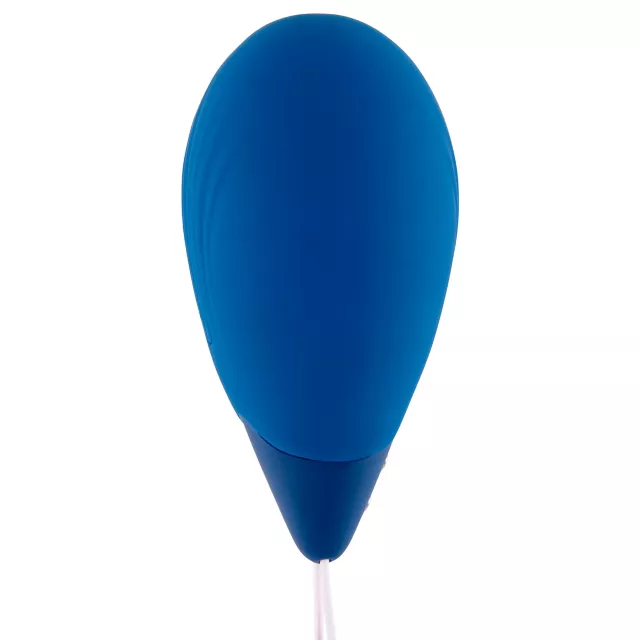 Hott Love Extreme Strong Vibes Remote Control Vibrator at Spencer's