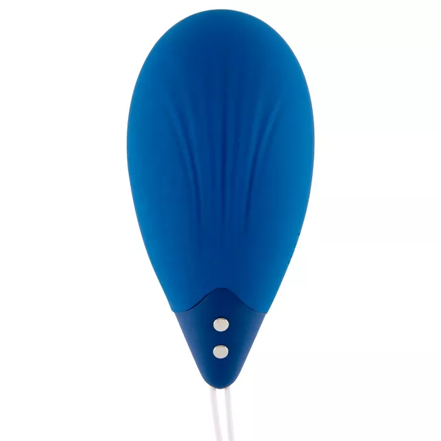 Hott Love Extreme Strong Vibes Remote Control Vibrator at Spencer's