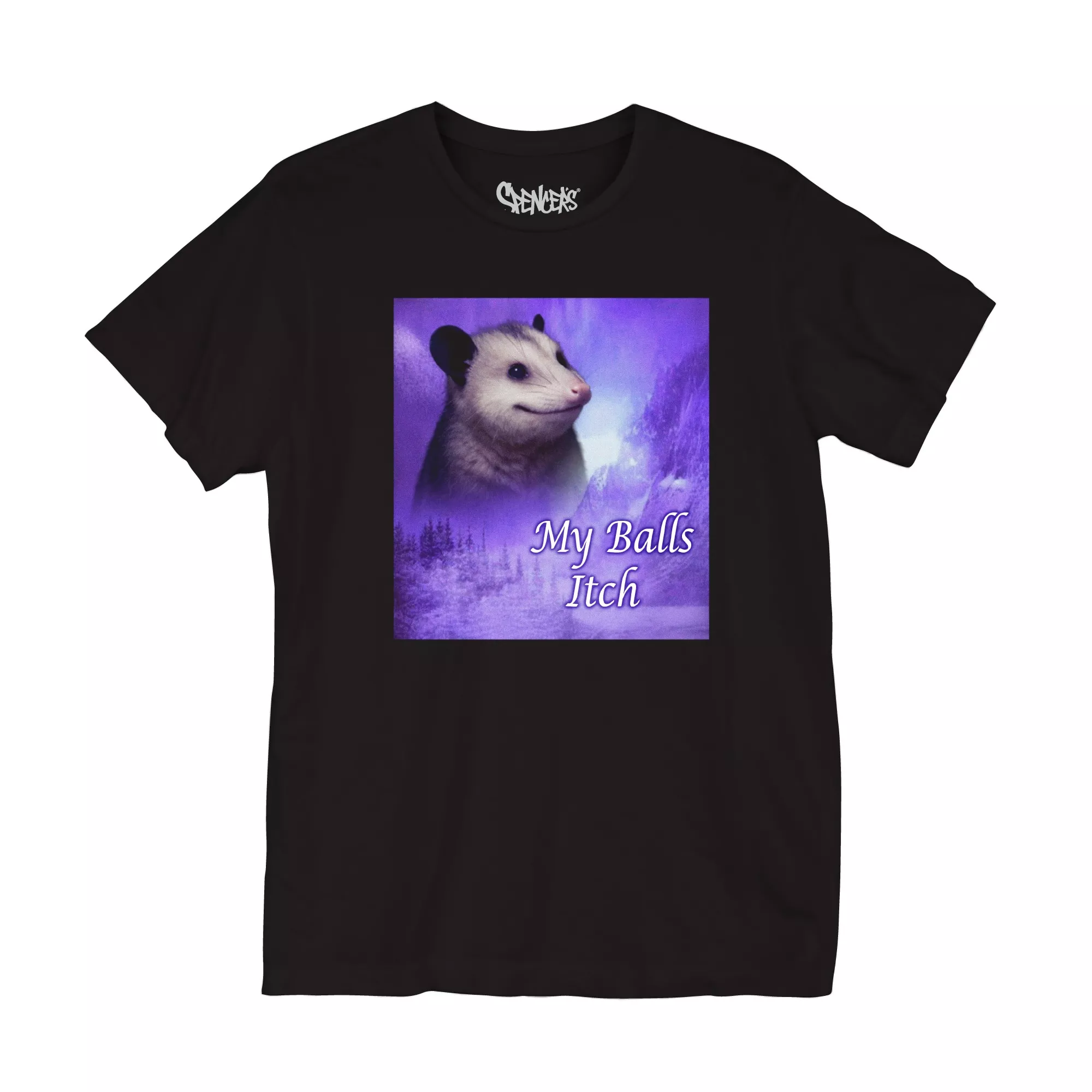 My Balls Itch Possum T Shirt at Spencer's
