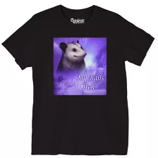 My Balls Itch Possum T Shirt at Spencer's