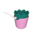 plusOne Succulent Arouser at Spencer's