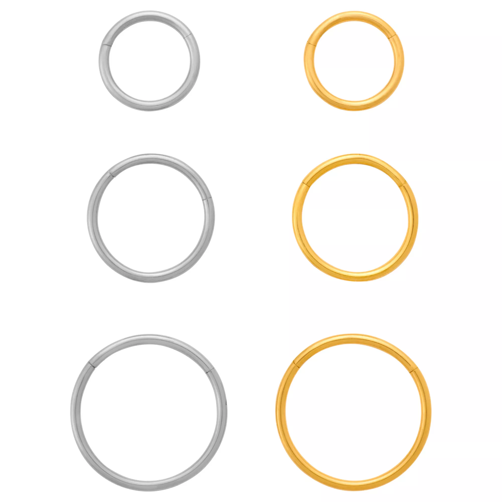 Multi-Pack Silver and Gold-Plated Titanium Hinged Hoop Rings 6 Pack - 20 Gauge at Spencer's
