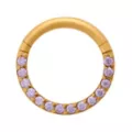 Gold-Plated ASTM F-136 Titanium Purple CZ Hinged Septum Ring - 16 Gauge at Spencer's
