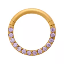Gold-Plated ASTM F-136 Titanium Purple CZ Hinged Septum Ring - 16 Gauge at Spencer's