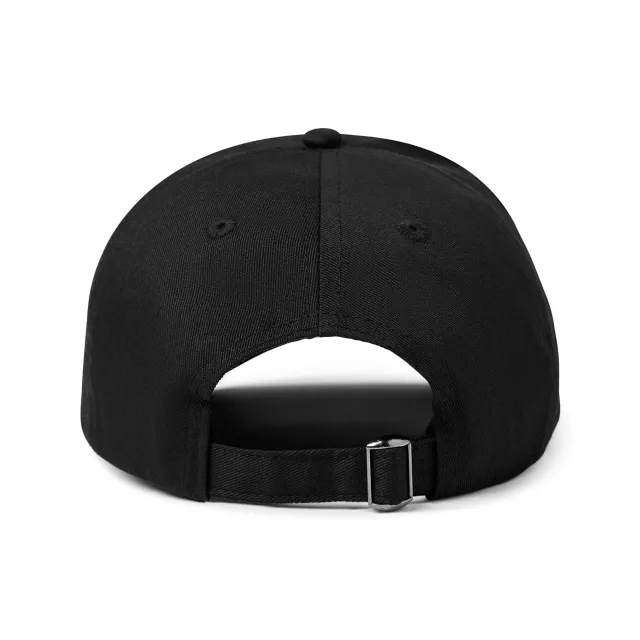 Dad Hat at Spencer's