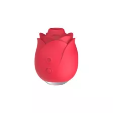 Pleasure Air Stimulator Rose Vibrator - Lovehoney at Spencer's