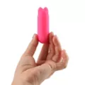 Sexology Smitten Kitten Bullet Vibrator at Spencer's