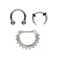 Multi-Pack ASTM F-136 Titanium Horseshoe and Charm Captive Septum Rings 3 Pack - 16 Gauge at Spencer's
