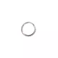 Red CZ Titanium Hinged Hoop Ring - 20 Gauge at Spencer's