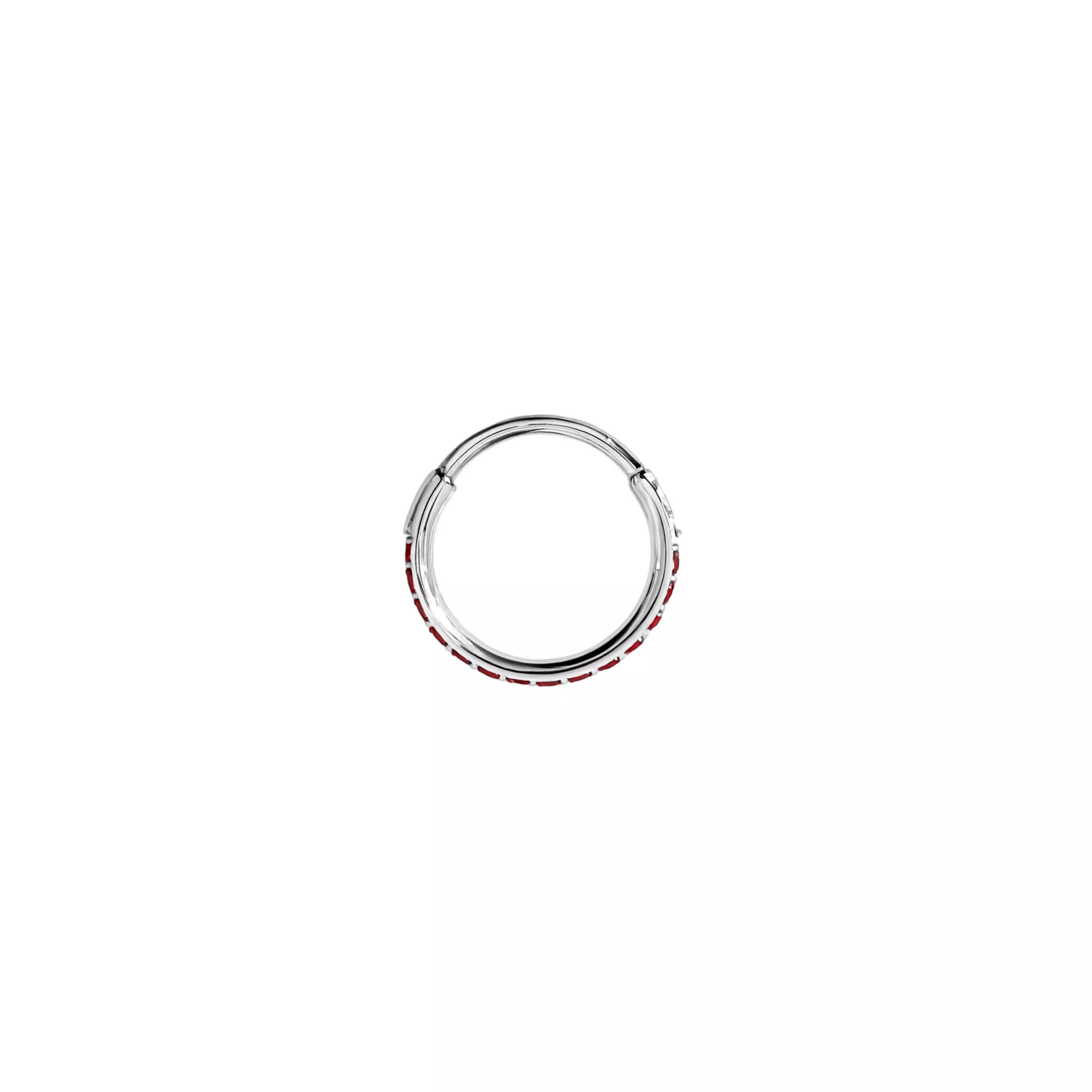 Red CZ Titanium Hinged Hoop Ring - 20 Gauge at Spencer's