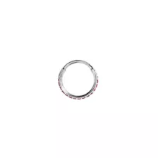 Red CZ Titanium Hinged Hoop Ring - 20 Gauge at Spencer's