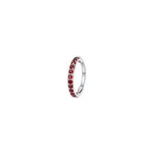 Red CZ Titanium Hinged Hoop Ring - 20 Gauge at Spencer's