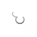 Red CZ Titanium Hinged Hoop Ring - 20 Gauge at Spencer's