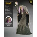 5 Ft 9 In Willow Witch Animatronic at Spirit Halloween