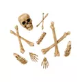 12-Piece Bag of Decaying Bones at Spirit Halloween