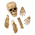 12-Piece Bag of Decaying Bones at Spirit Halloween
