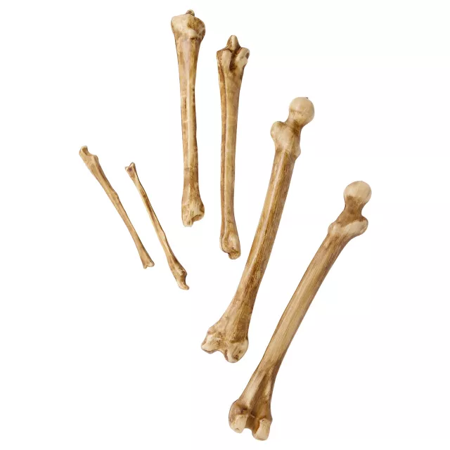 12-Piece Bag of Decaying Bones at Spirit Halloween