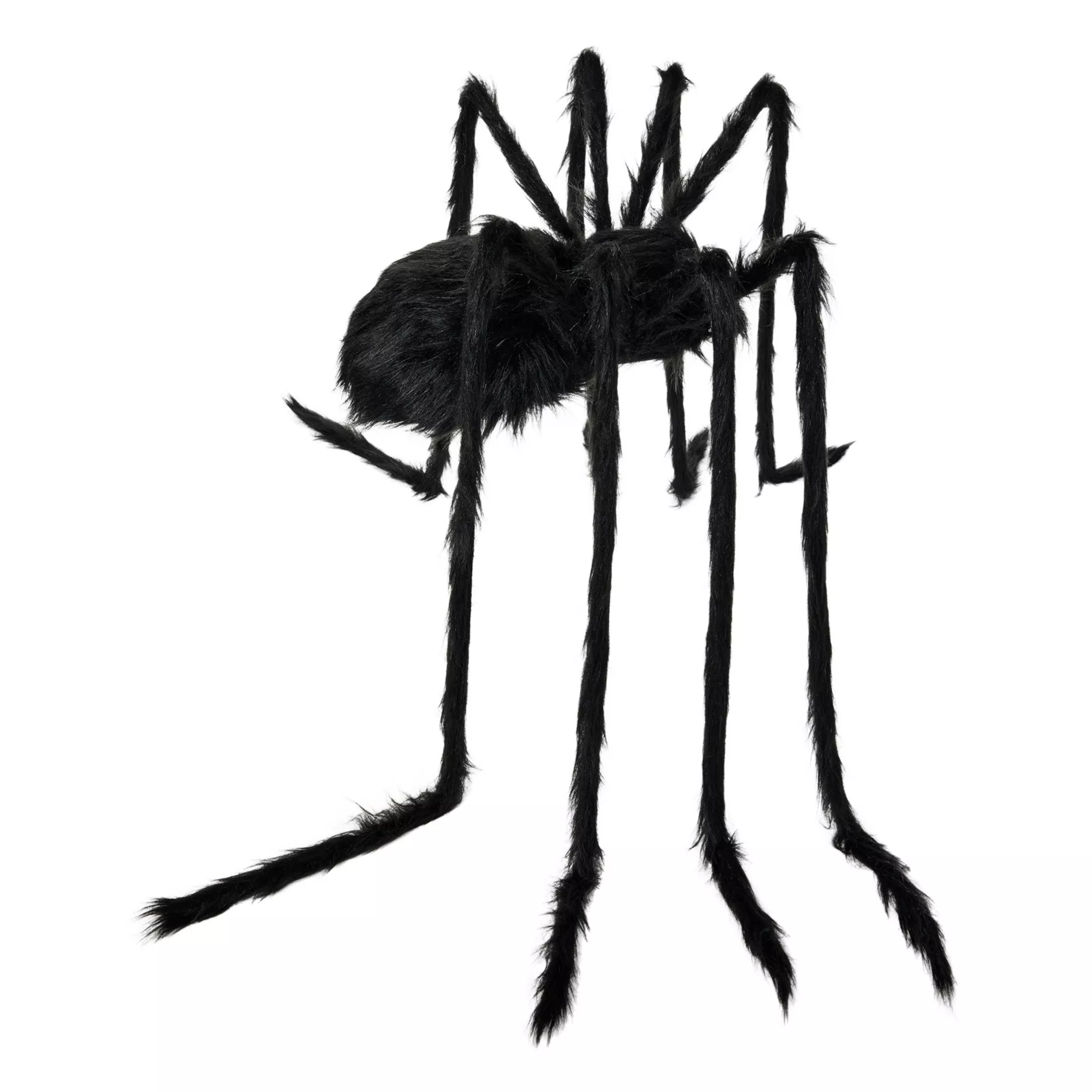 5 Ft Black Spider