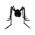 5 Ft Black Spider at Spirit Halloween