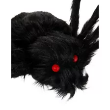 5 Ft Black Spider at Spirit Halloween