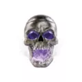 Skull Mister at Spirit Halloween