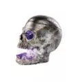 Skull Mister at Spirit Halloween