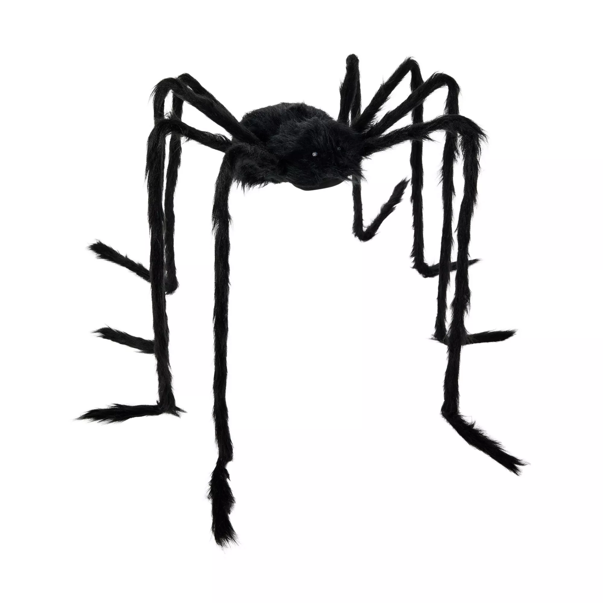 5 Ft Light-Up Black Spider at Spirit Halloween