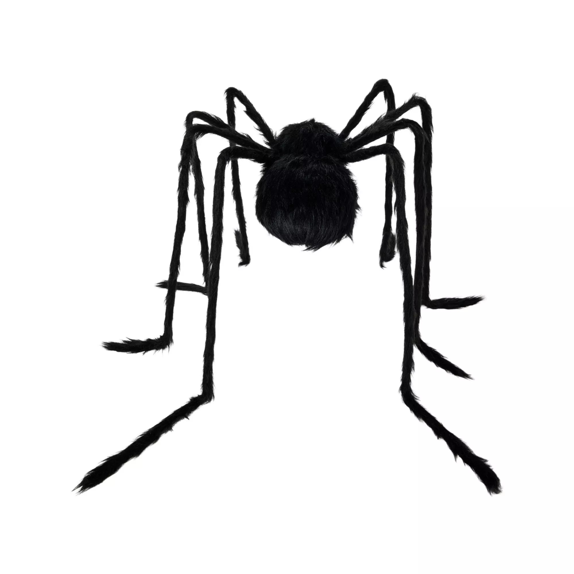 5 Ft Light-Up Black Spider at Spirit Halloween