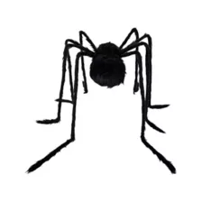 5 Ft Light-Up Black Spider at Spirit Halloween