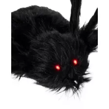 5 Ft Light-Up Black Spider at Spirit Halloween