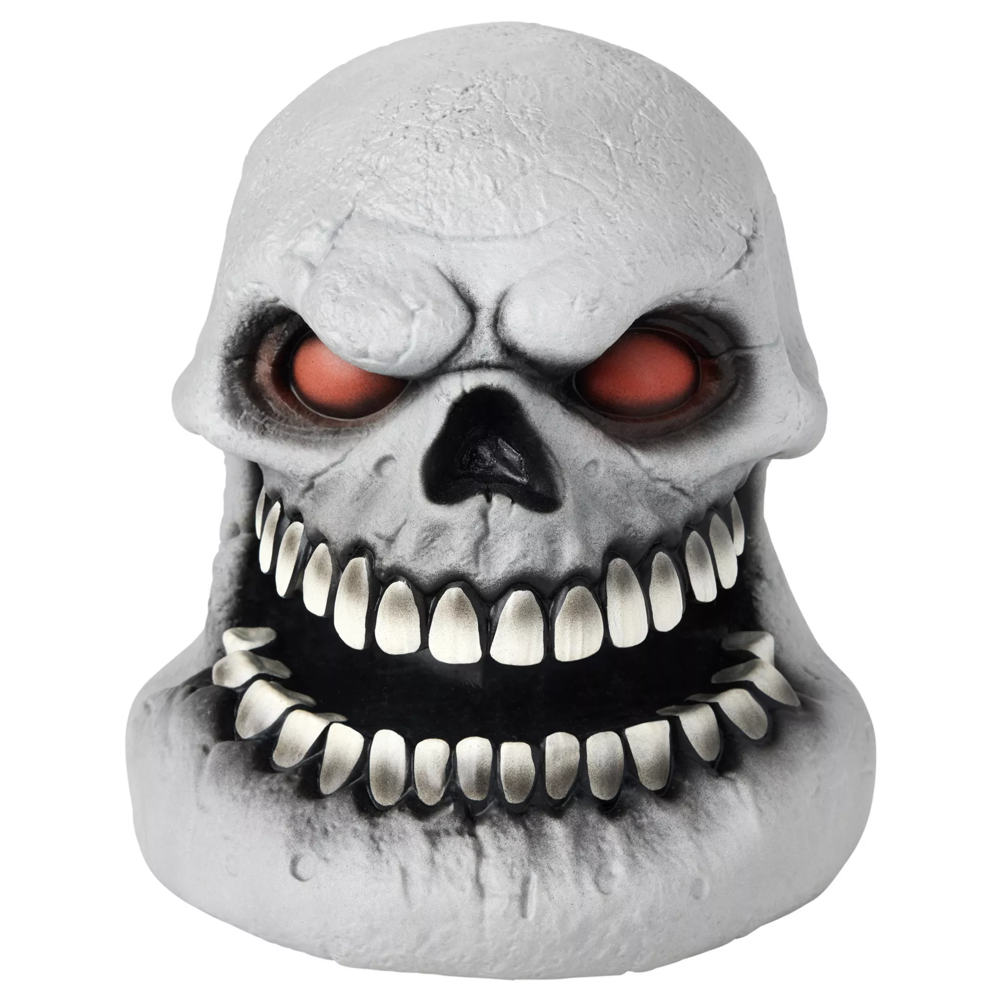 Skull Talking Head