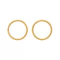 ASTM F-136 Titanium Gold-Tone Basic Hinge Hoop Nose Rings 2 Pack - 20 Gauge at Spencer's