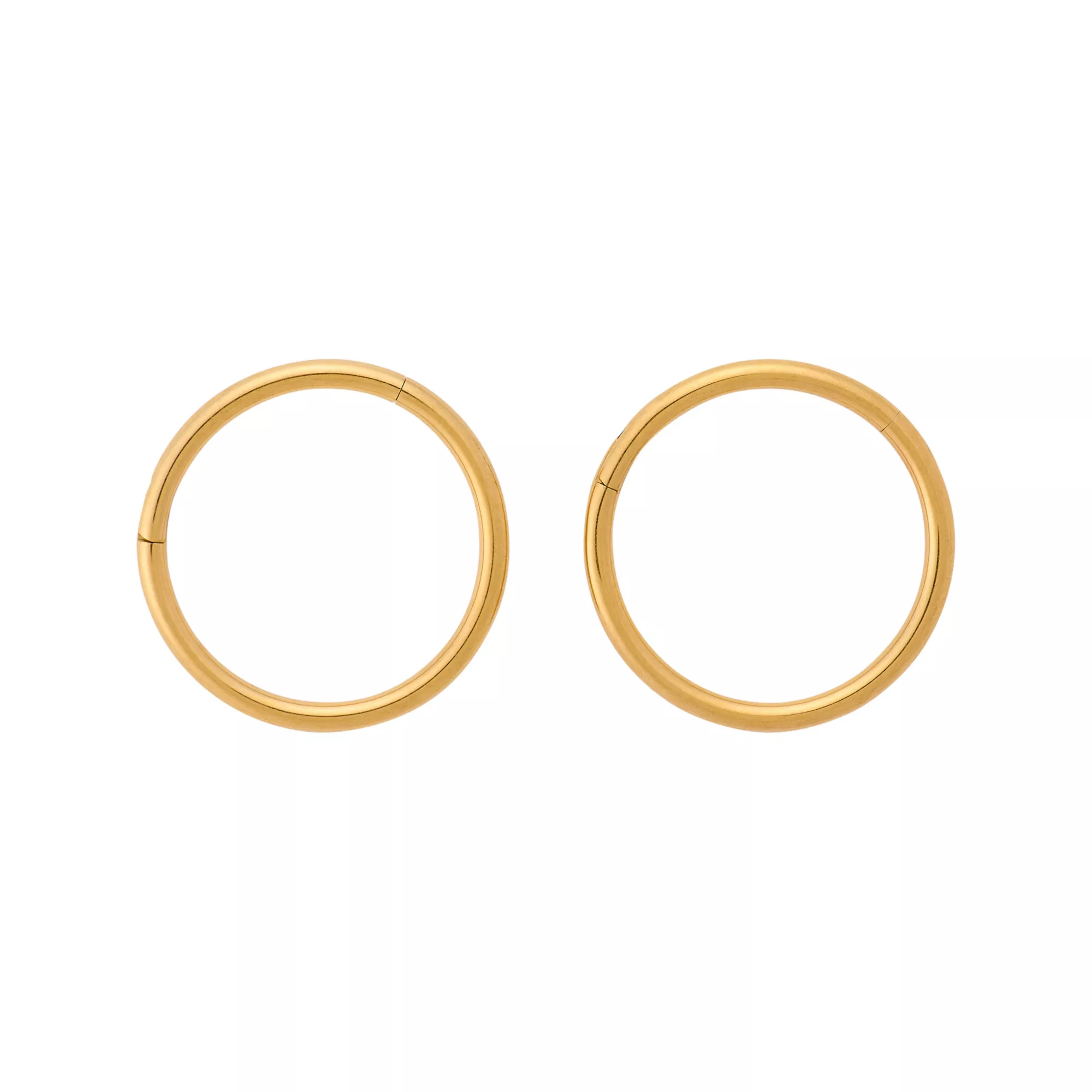 ASTM F-136 Titanium Gold-Tone Basic Hinge Hoop Nose Rings 2 Pack - 20 Gauge at Spencer's