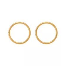 ASTM F-136 Titanium Gold-Tone Basic Hinge Hoop Nose Rings 2 Pack - 20 Gauge at Spencer's