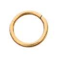Titanium Gold-Tone Double Row Hinged Hoop Nose Ring - 16 Gauge at Spencer's