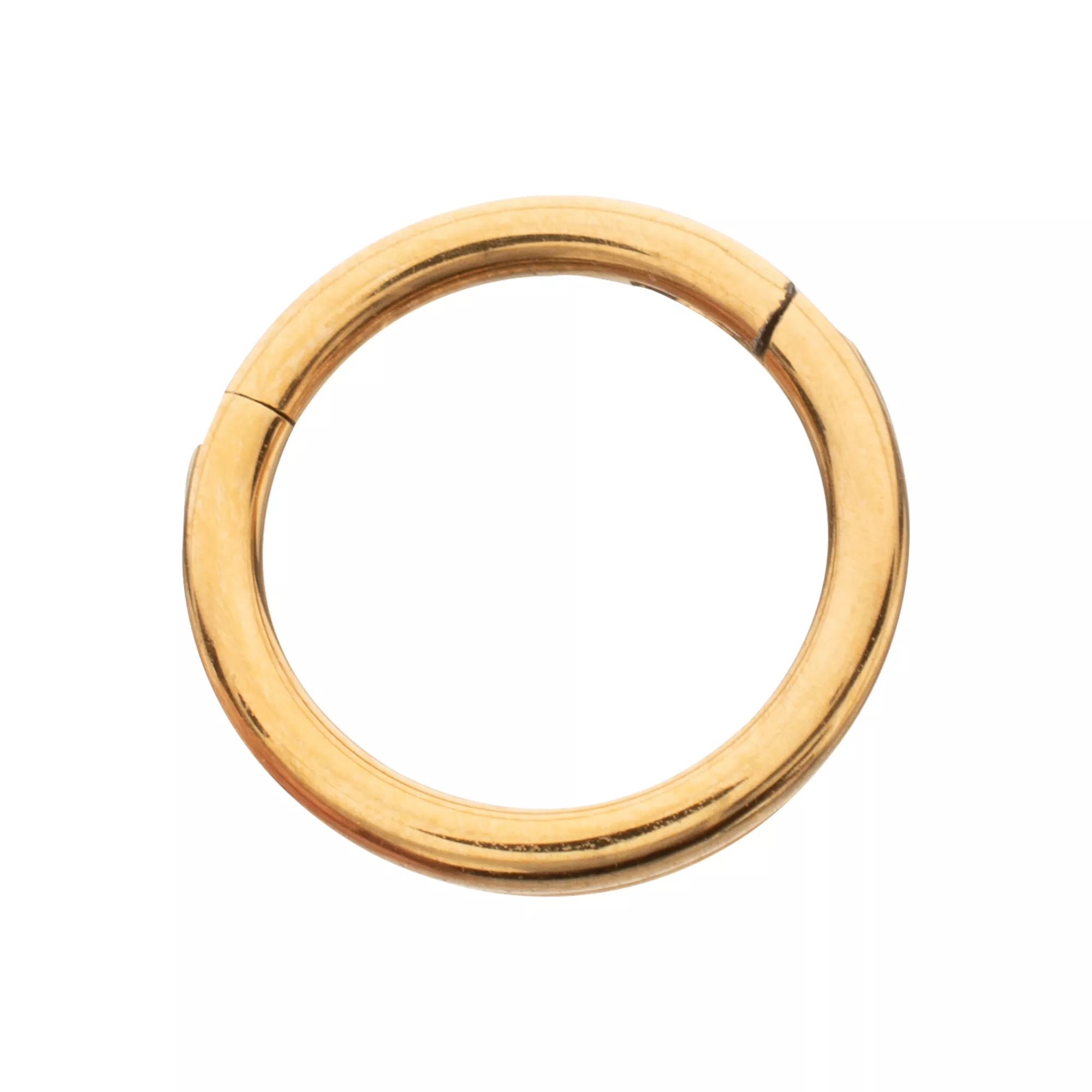 Titanium Gold-Tone Double Row Hinged Hoop Nose Ring - 16 Gauge at Spencer's
