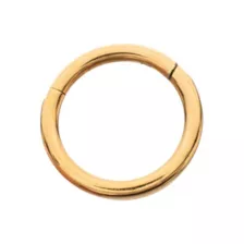 Titanium Gold-Tone Double Row Hinged Hoop Nose Ring - 16 Gauge at Spencer's