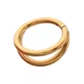 Titanium Gold-Tone Double Row Hinged Hoop Nose Ring - 16 Gauge at Spencer's