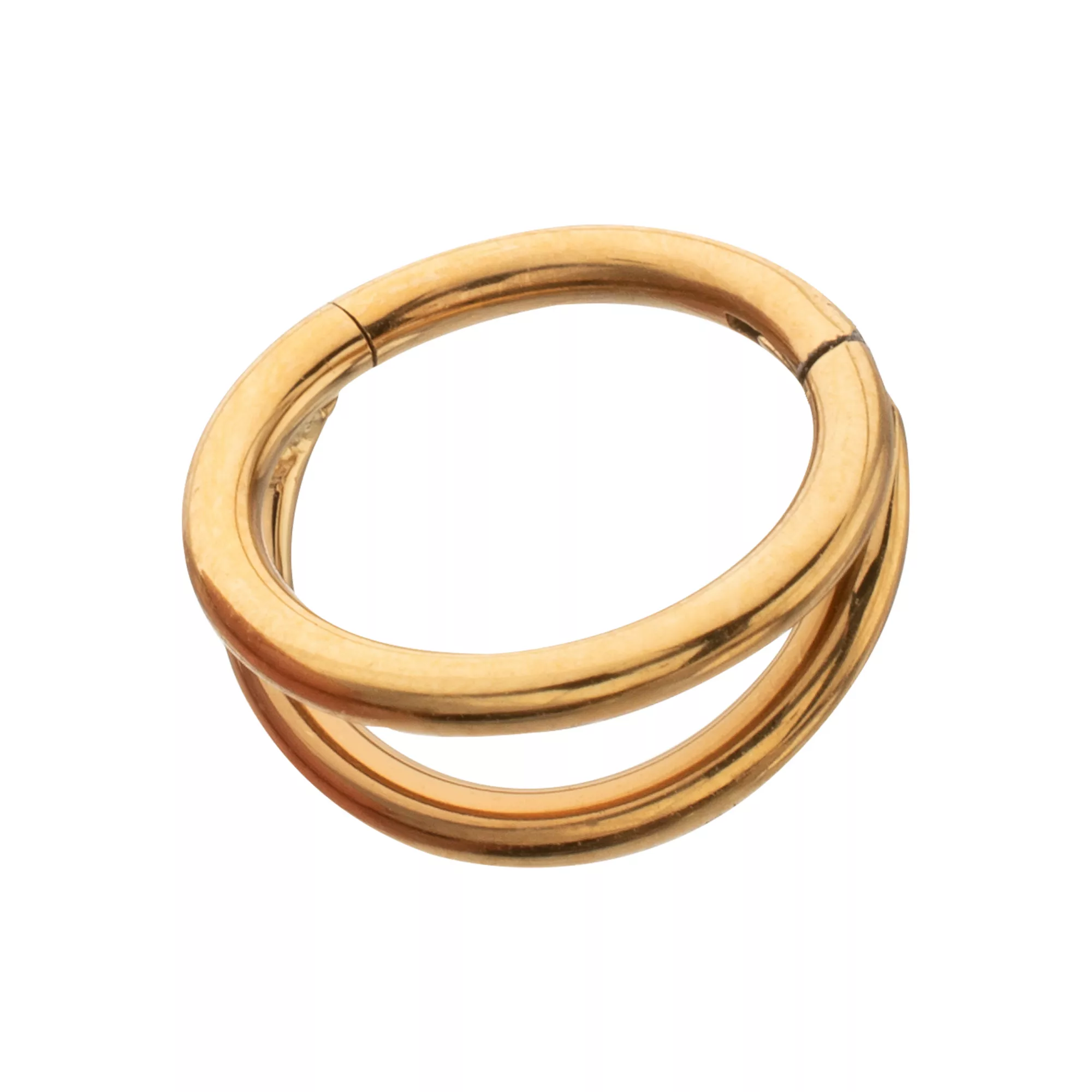 Titanium Gold-Tone Double Row Hinged Hoop Nose Ring - 16 Gauge at Spencer's